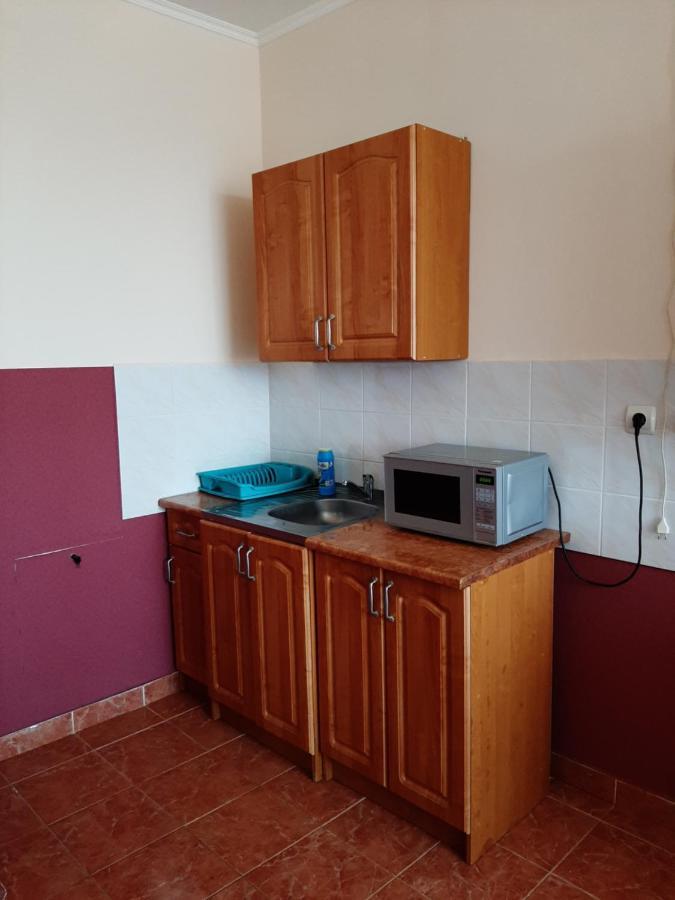 Apartment On Lermontova 35A Mukatjevo Eksteriør billede